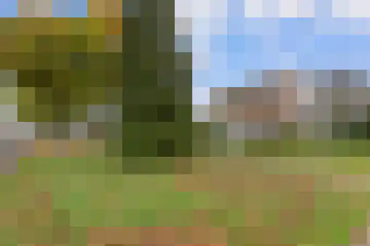 Hoofdbank 17 Klimmen thumbnail 25