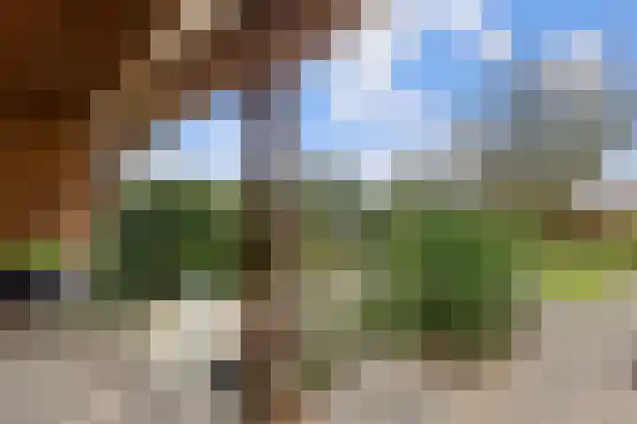 Hoofdbank 17 Klimmen thumbnail 6