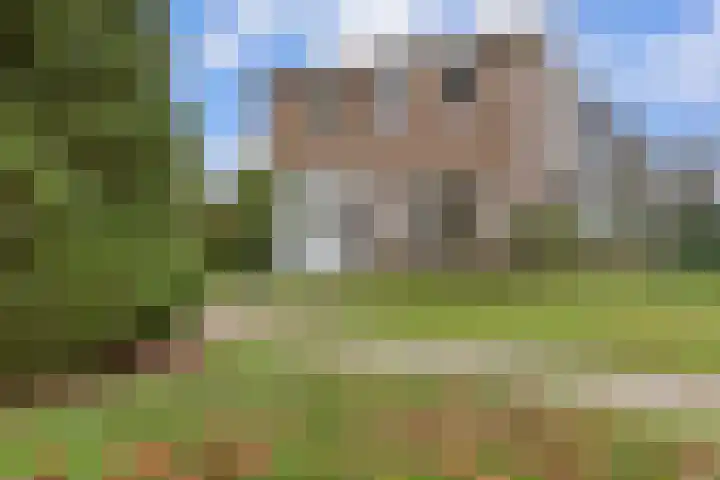 Hoofdbank 17 Klimmen thumbnail 7