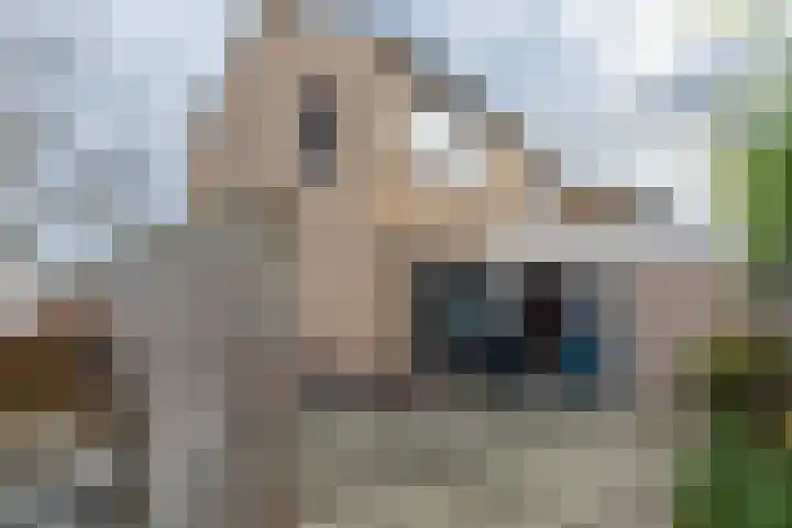 Hoofdbank 2 Klimmen thumbnail 26