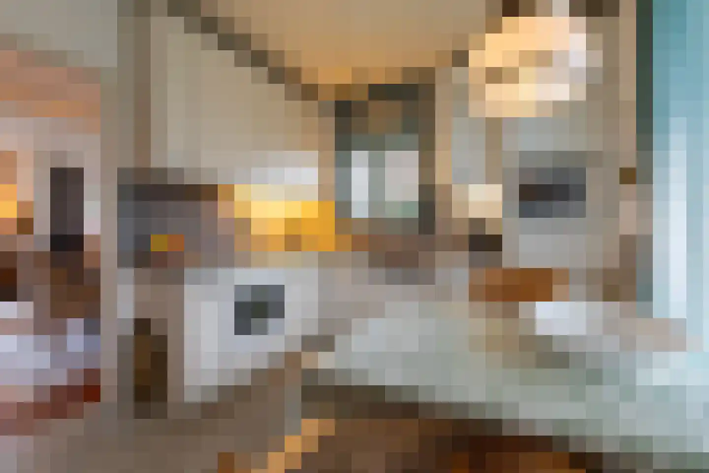 Hoofdbank 22 Klimmen thumbnail 11