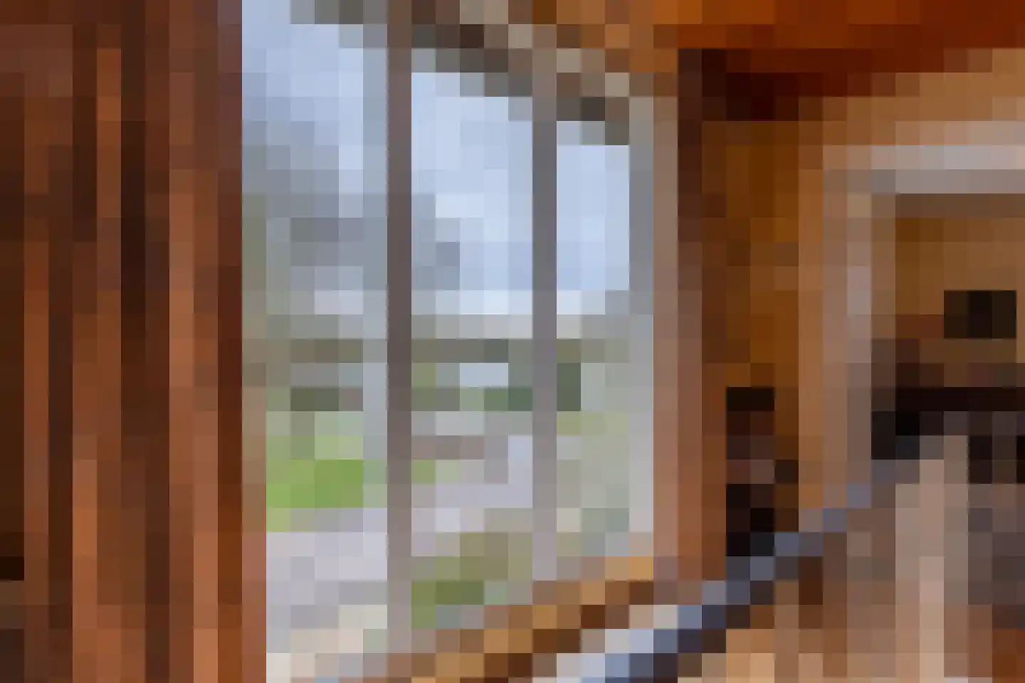 Hoofdbank 22 Klimmen thumbnail 17