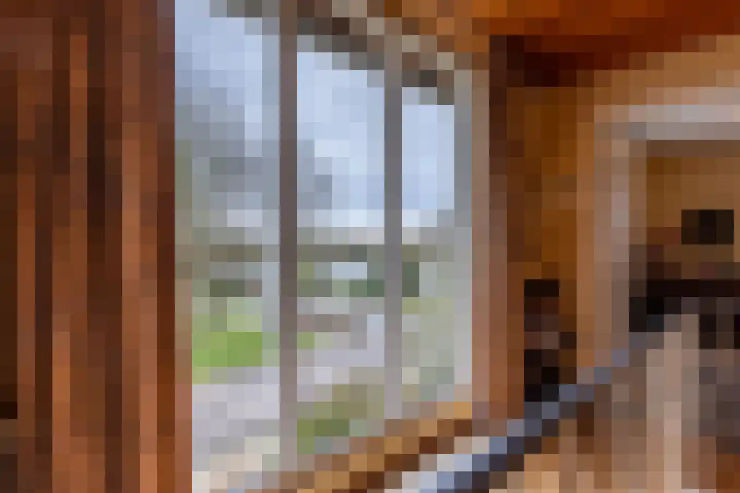 Hoofdbank 22 Klimmen thumbnail 18