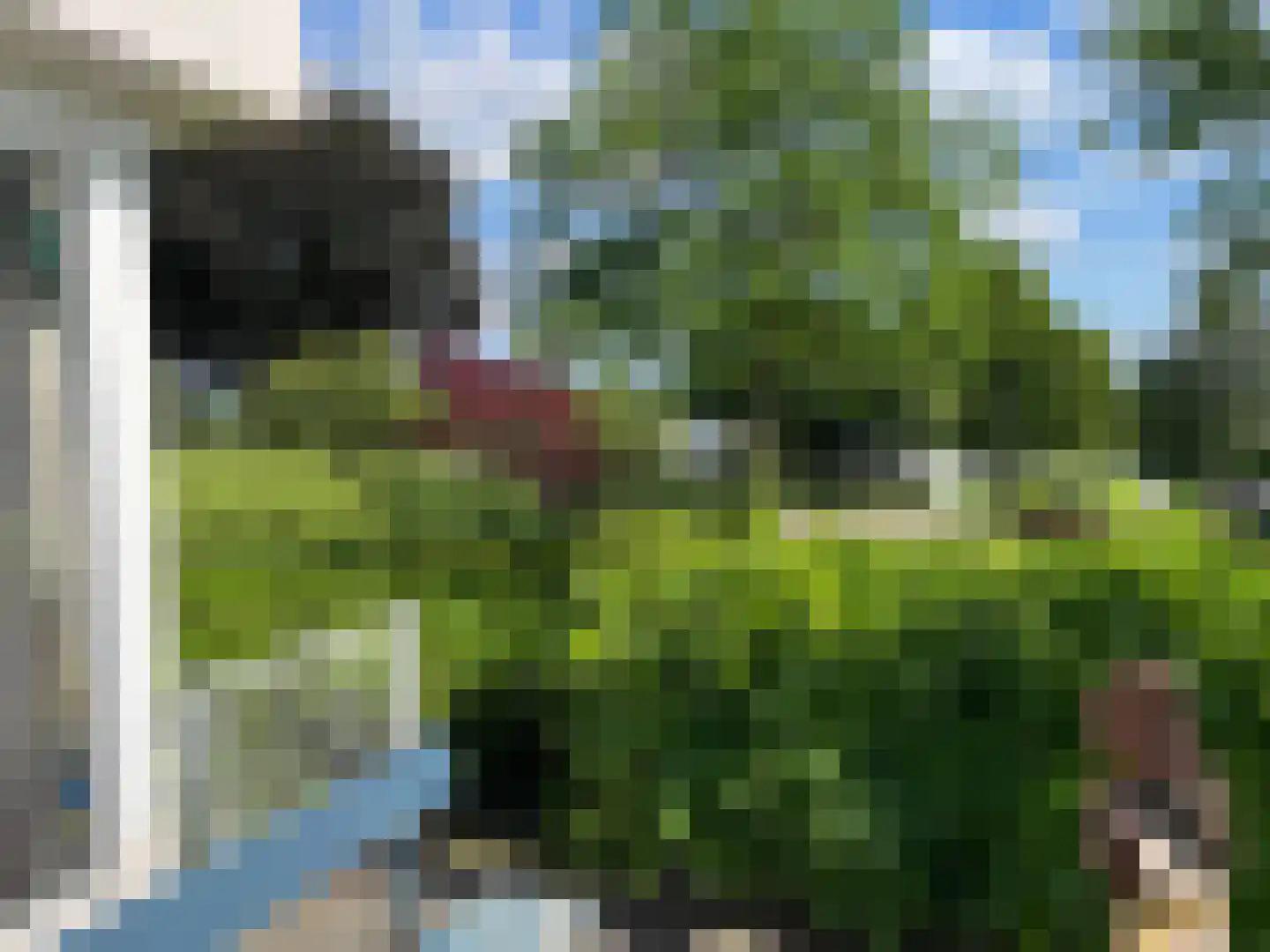 Hoofdbank 22 Klimmen thumbnail 32