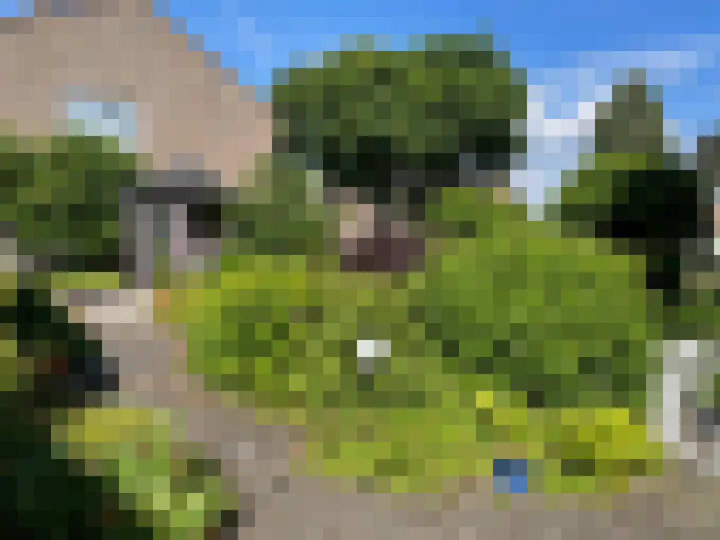 Hoofdbank 22 Klimmen thumbnail 33