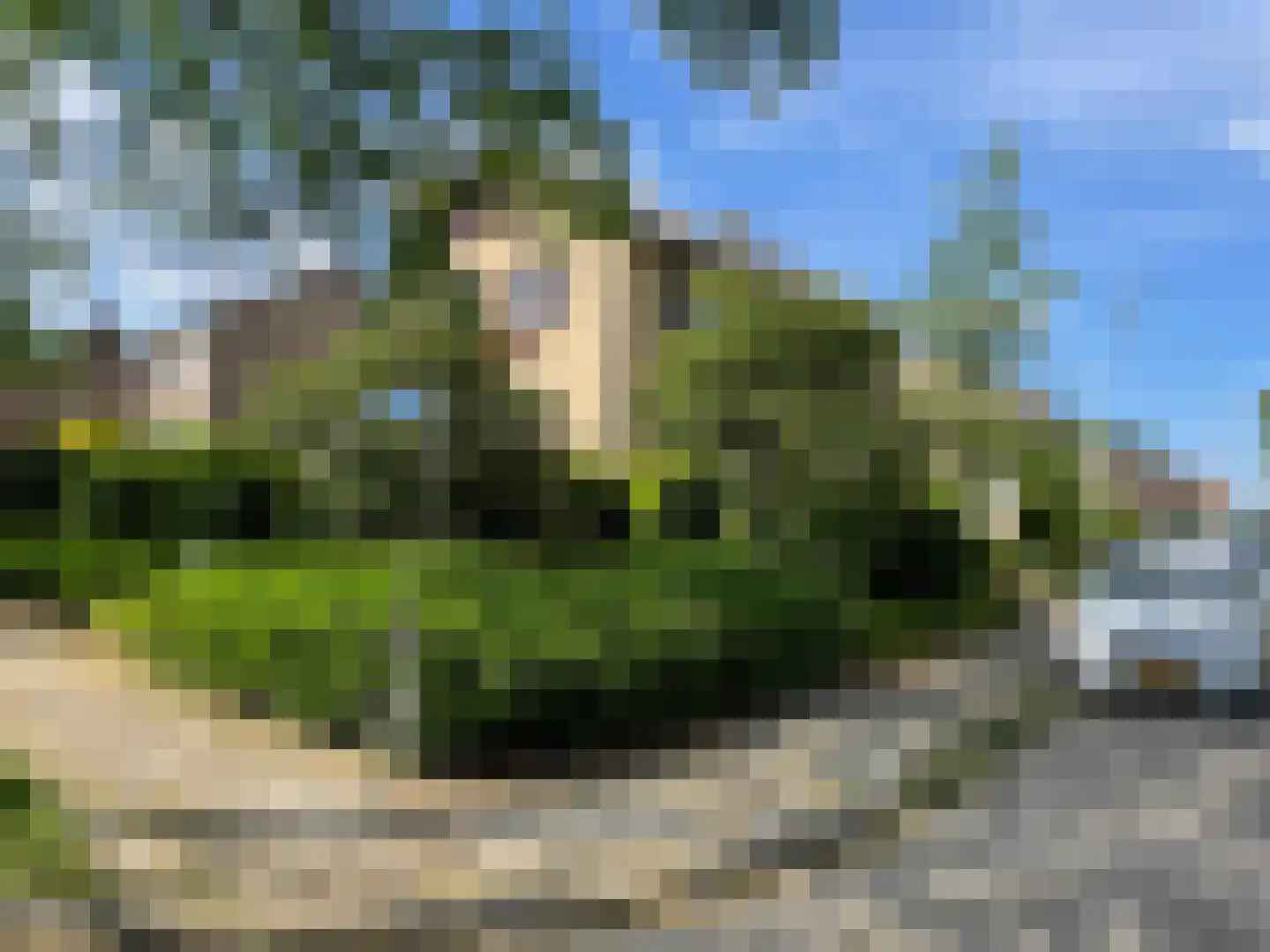 Hoofdbank 22 Klimmen thumbnail 34