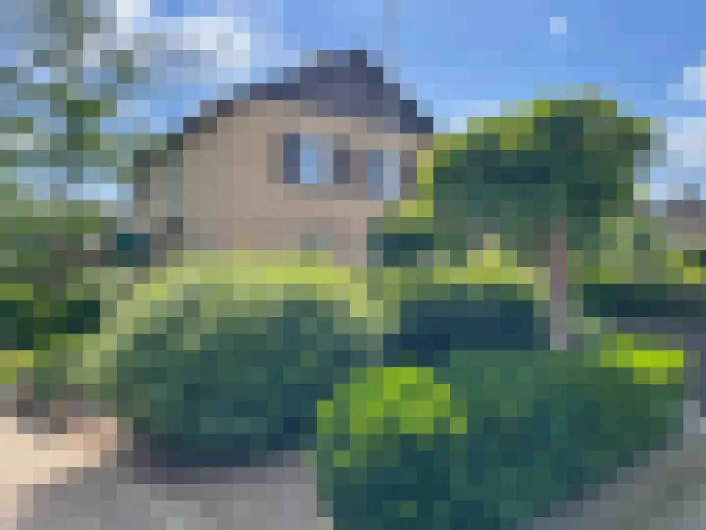 Hoofdbank 22 Klimmen thumbnail 35