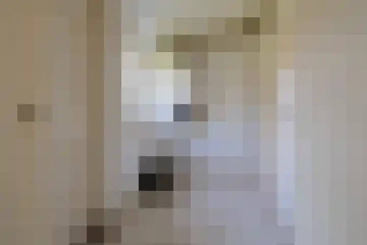 Hoofdbuurtstraat 5 Velsen-Zuid thumbnail 10