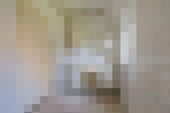 Hoofdbuurtstraat 5 Velsen-Zuid thumbnail 9