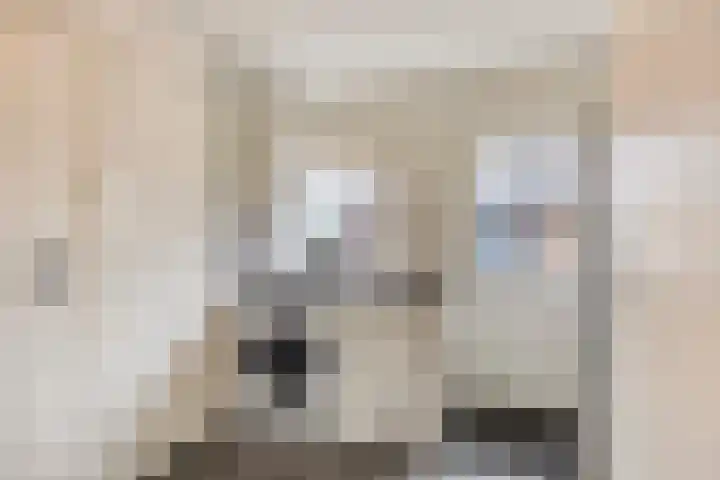 Hoofddiep 33 II Zevenhuizen thumbnail 22
