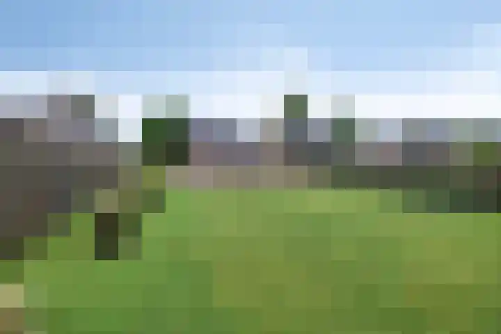 Hoofddiep 33 II Zevenhuizen thumbnail 29