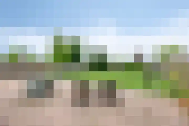 Hoofddiep 33 II Zevenhuizen thumbnail 31