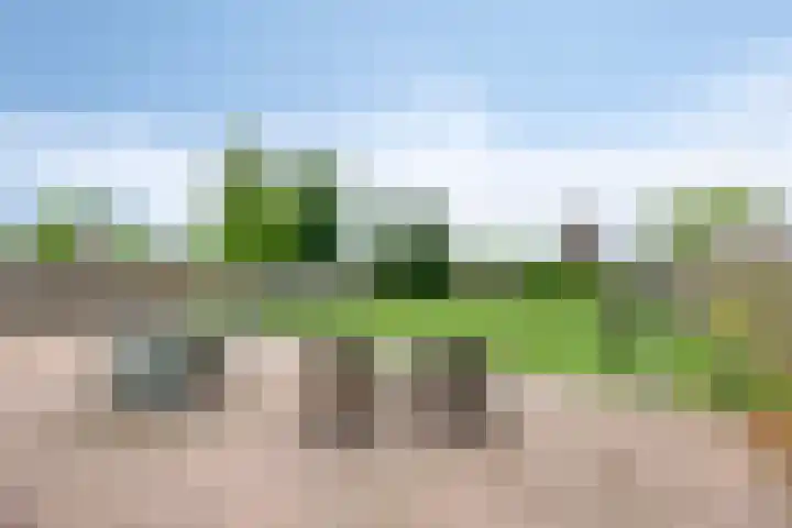 Hoofddiep 33 II Zevenhuizen thumbnail 4