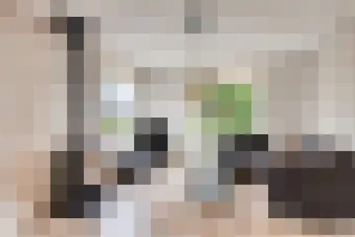 Hoofddiep 33 II Zevenhuizen thumbnail 8