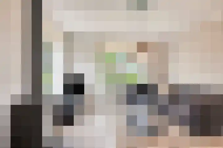 Hoofddiep 33 II Zevenhuizen thumbnail 9