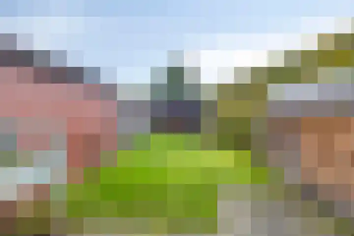 Hoofddiep 59 I Zevenhuizen thumbnail 26