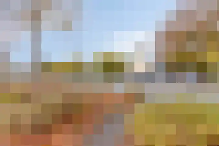 Hoofddiep 59 I Zevenhuizen thumbnail 33