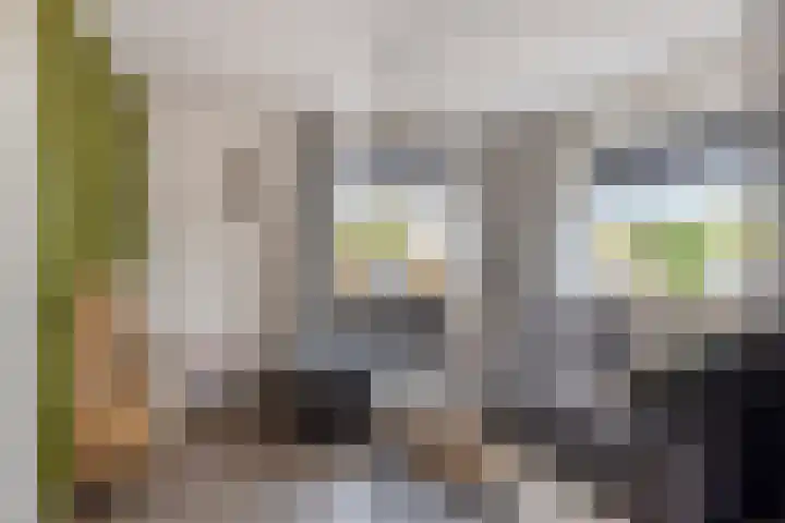 Hoofddiep 59 I Zevenhuizen thumbnail 8