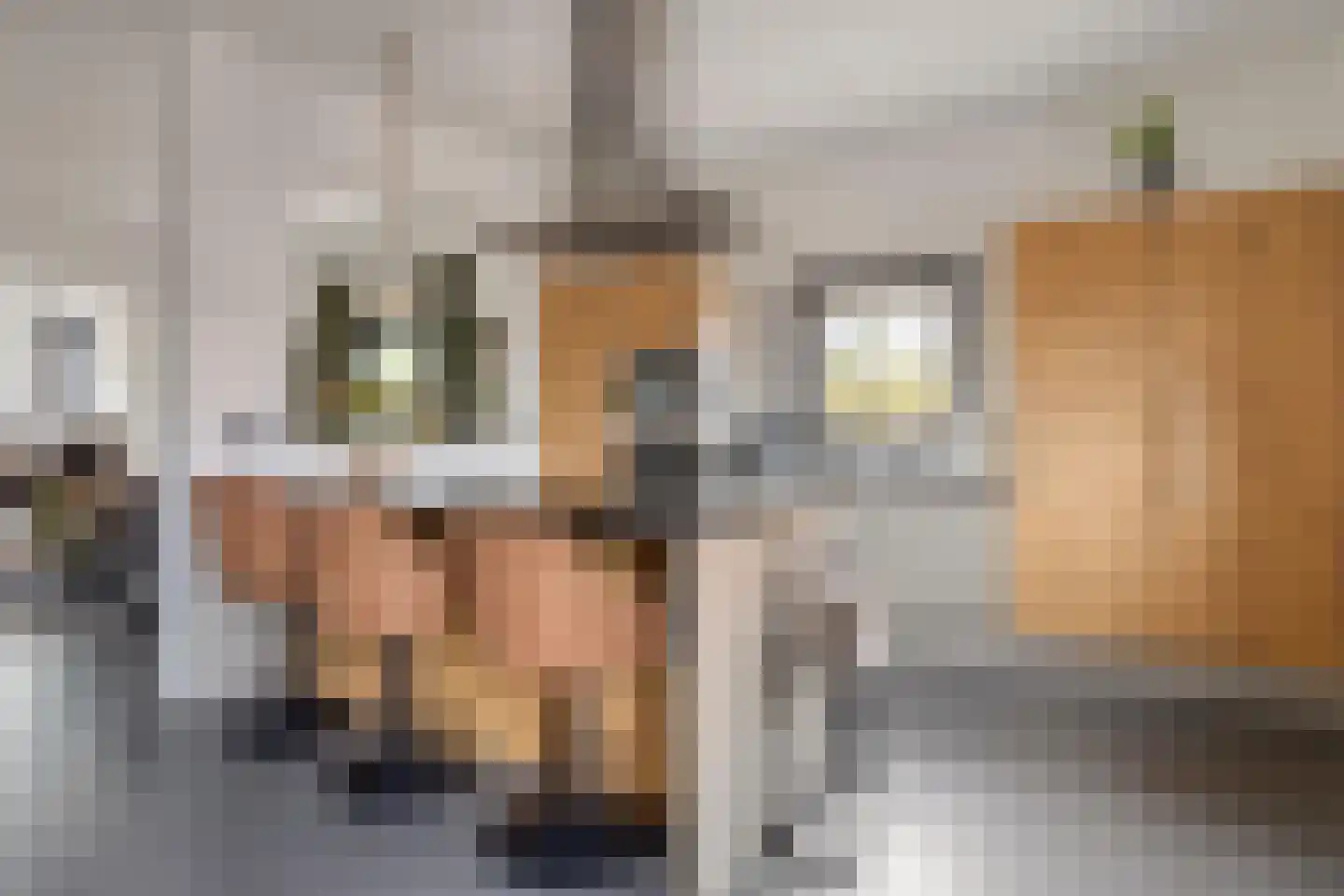 Hoofddiep 74 Zevenhuizen thumbnail 12