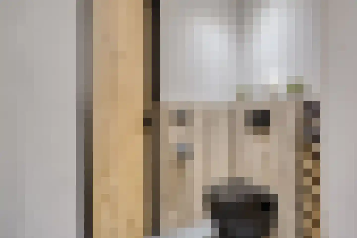 Hoofddiep 74 Zevenhuizen thumbnail 19