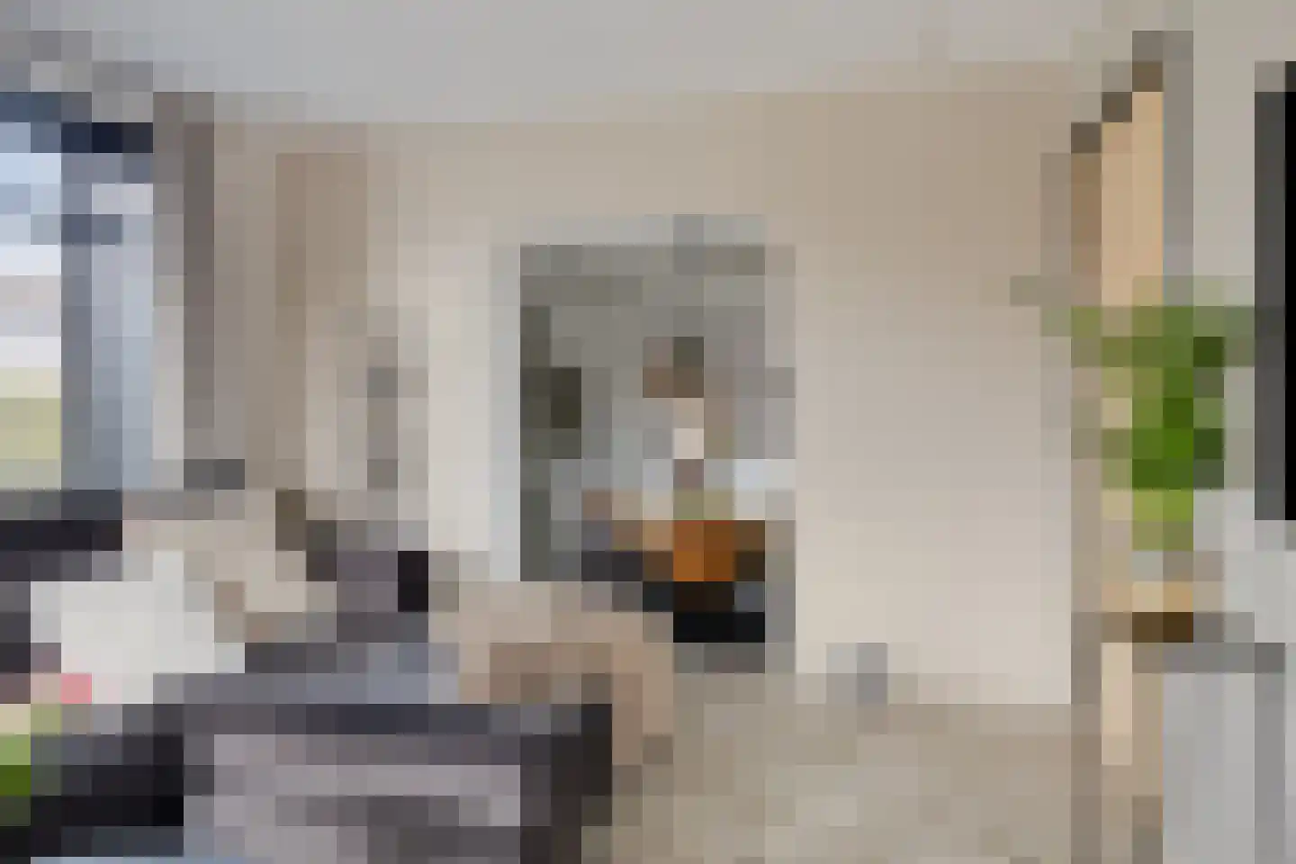 Hoofddiep 74 Zevenhuizen thumbnail 8