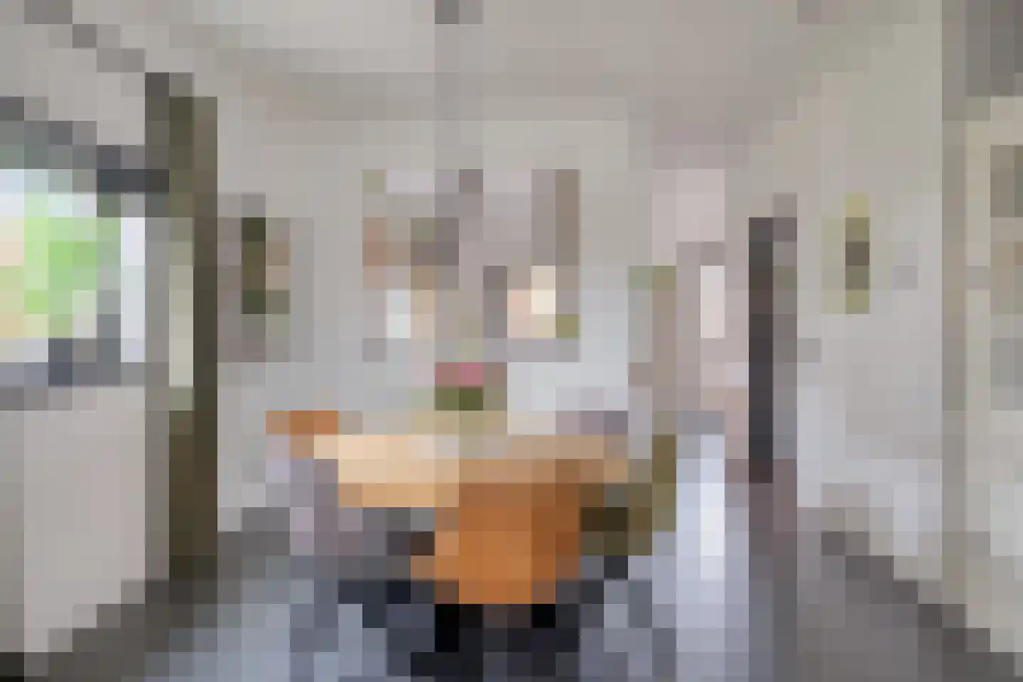 Hoofddiep 74 Zevenhuizen thumbnail 9