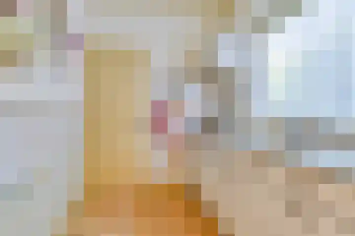 Hoofddiep 81 Zevenhuizen thumbnail 12