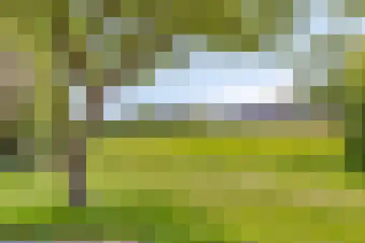 Hoofddiep 81 Zevenhuizen thumbnail 23