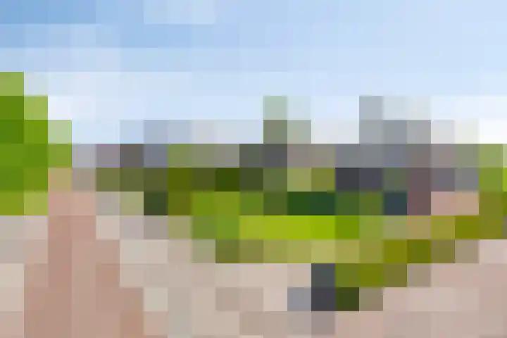 Hoofddiep 81 Zevenhuizen thumbnail 26