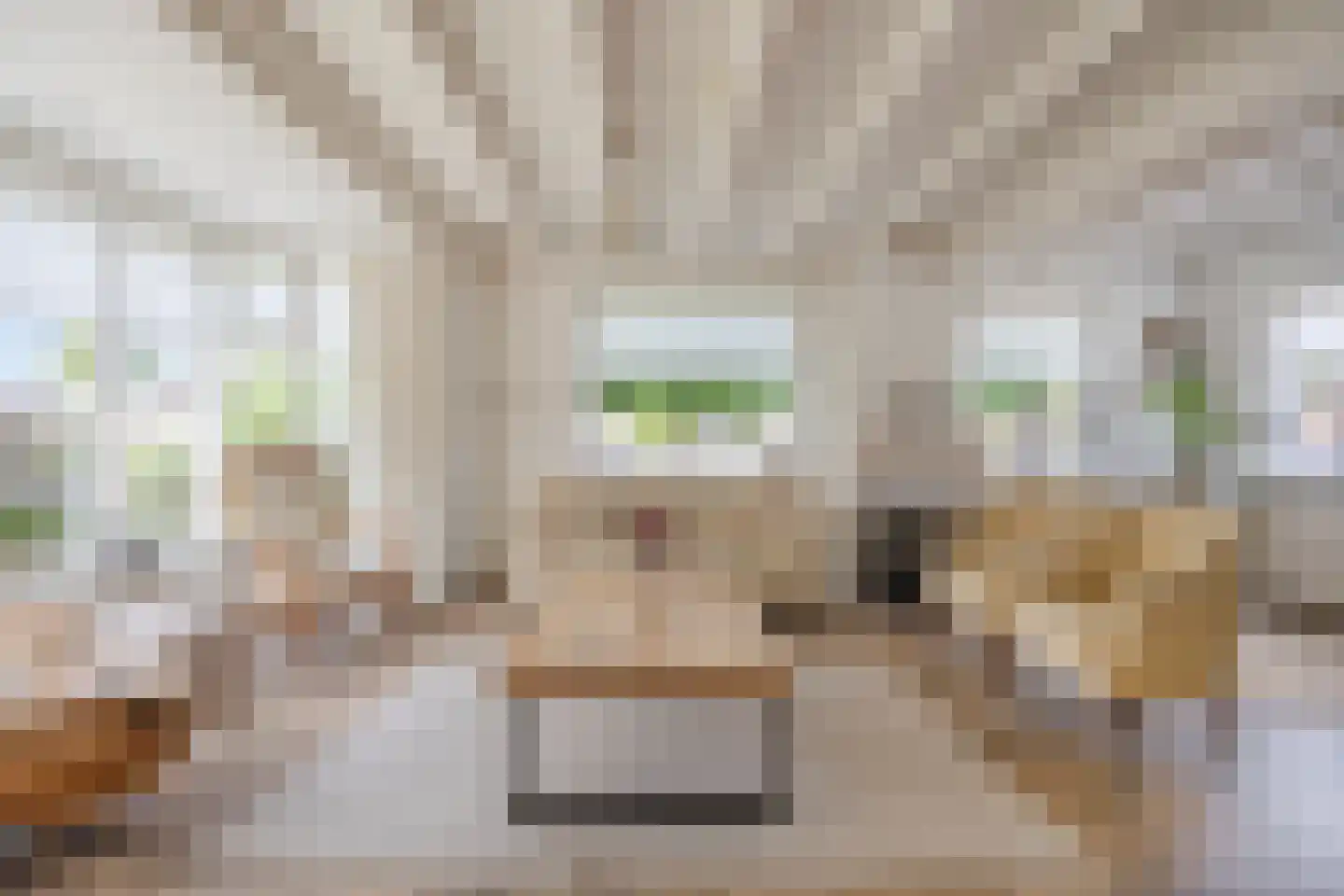 Hoofddiep 83 Zevenhuizen thumbnail 12