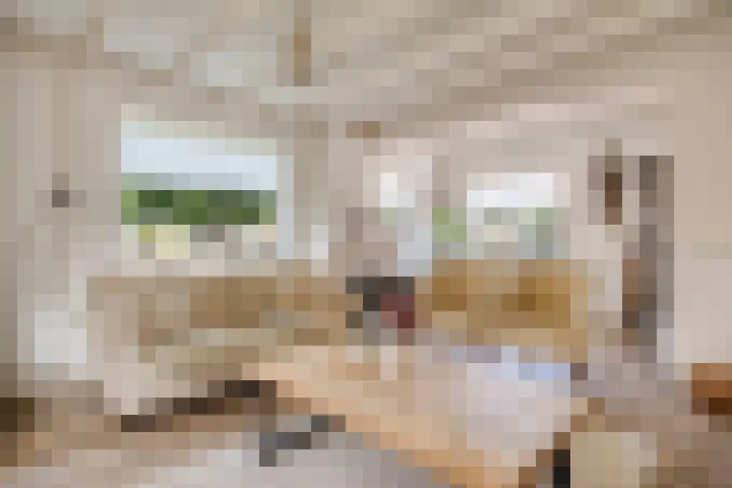 Hoofddiep 83 Zevenhuizen thumbnail 17