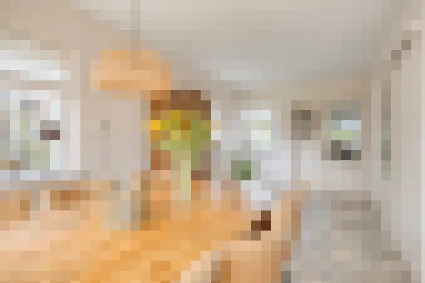 Hoofddiep 83 Zevenhuizen thumbnail 22