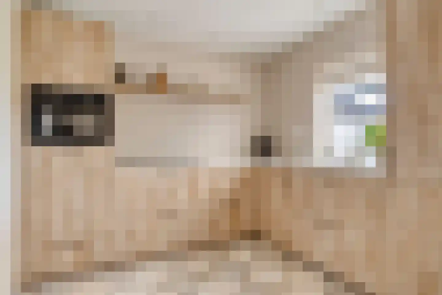 Hoofddiep 83 Zevenhuizen thumbnail 23