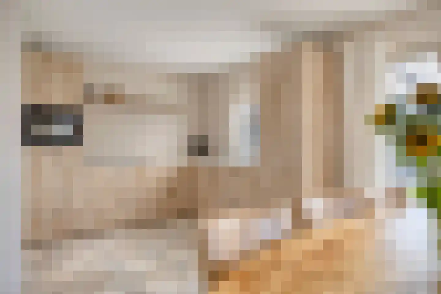 Hoofddiep 83 Zevenhuizen thumbnail 5