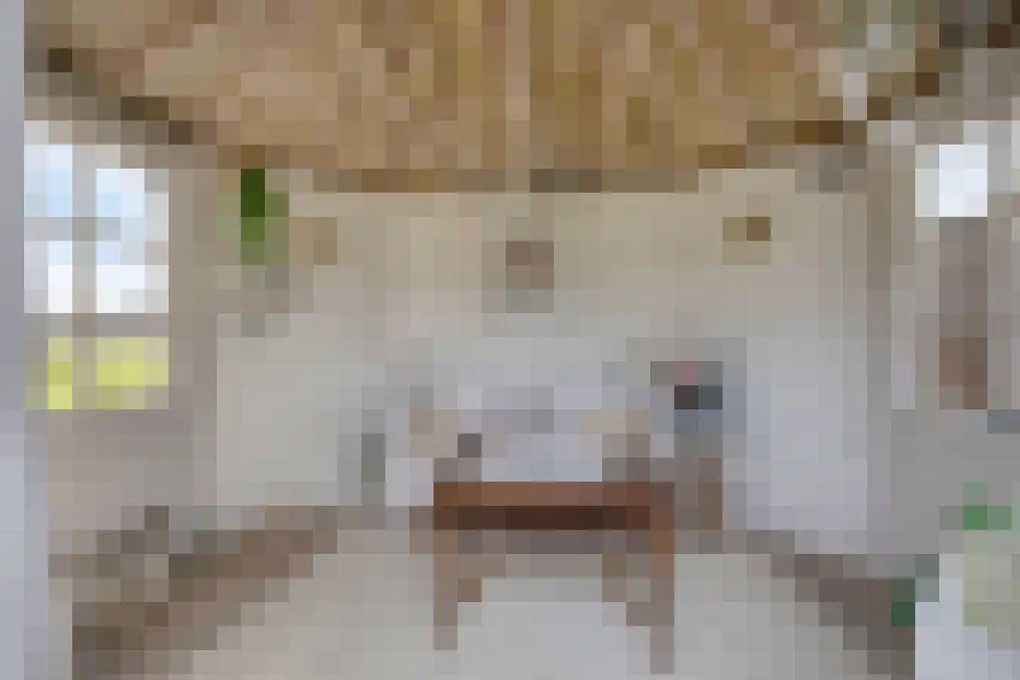Hoofddiep 83 Zevenhuizen thumbnail 50