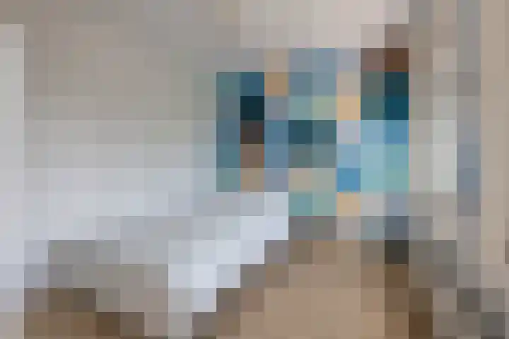 Hoofddorpplein 18 1 Amsterdam thumbnail 14