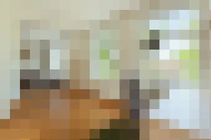 Hoofddorpplein 5 1 Amsterdam thumbnail 18