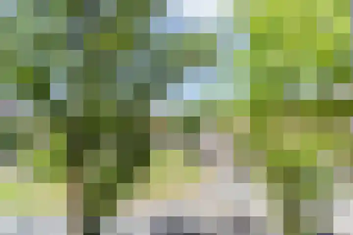 Hoofddorpplein 5 1 Amsterdam thumbnail 20