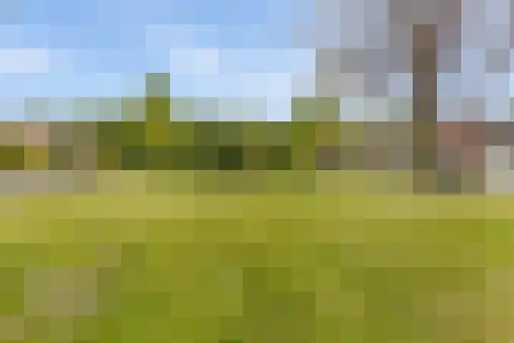 Hoofdelingenlaan 9 Appingedam thumbnail 10