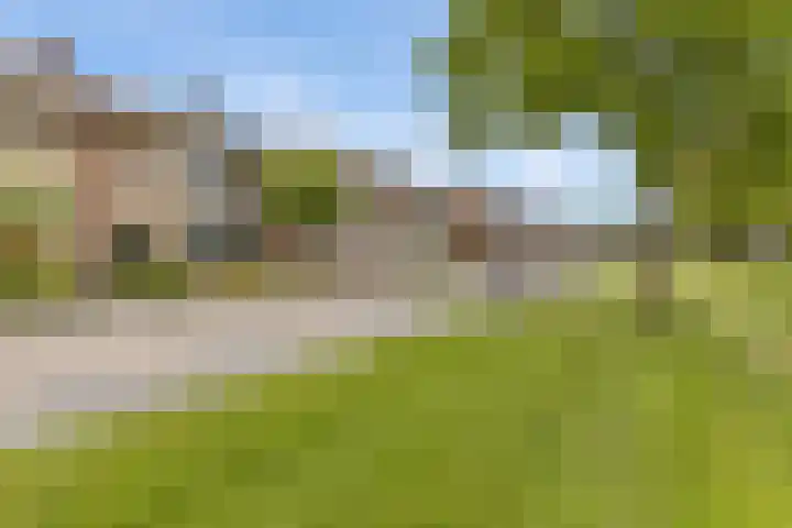 Hoofdelingenlaan 9 Appingedam thumbnail 11
