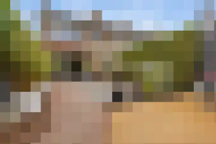 Hoofdelingenlaan 9 Appingedam thumbnail 17