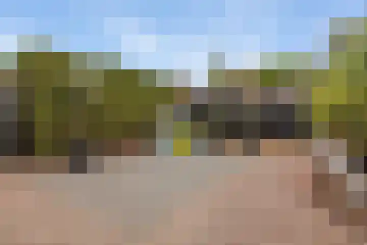 Hoofdelingenlaan 9 Appingedam thumbnail 19
