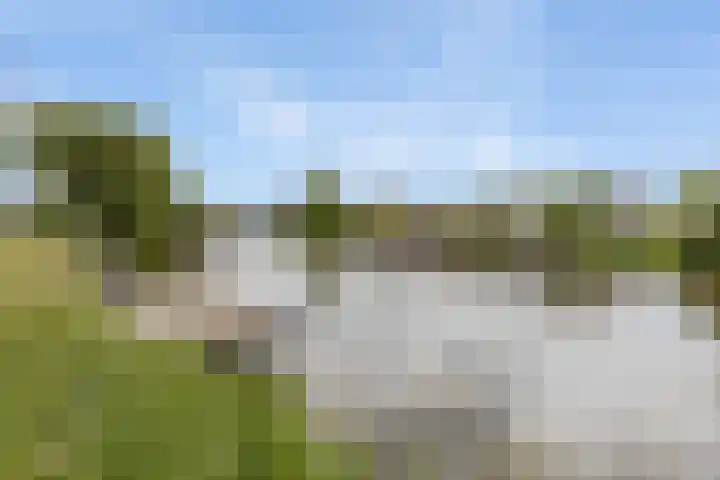 Hoofdelingenlaan 9 Appingedam thumbnail 22