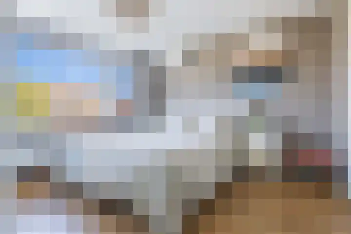 Hoofdelingenlaan 9 Appingedam thumbnail 40