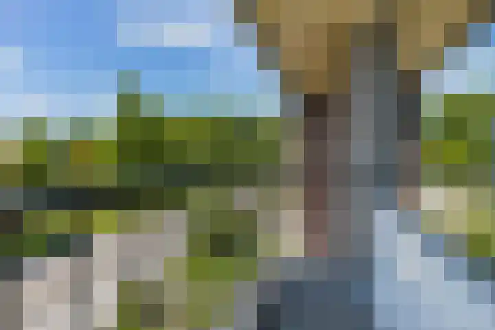 Hoofdelingenlaan 9 Appingedam thumbnail 42