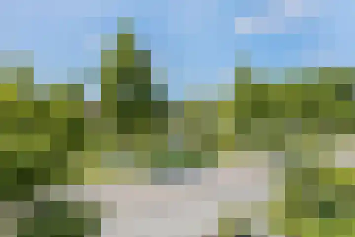 Hoofdelingenlaan 9 Appingedam thumbnail 43