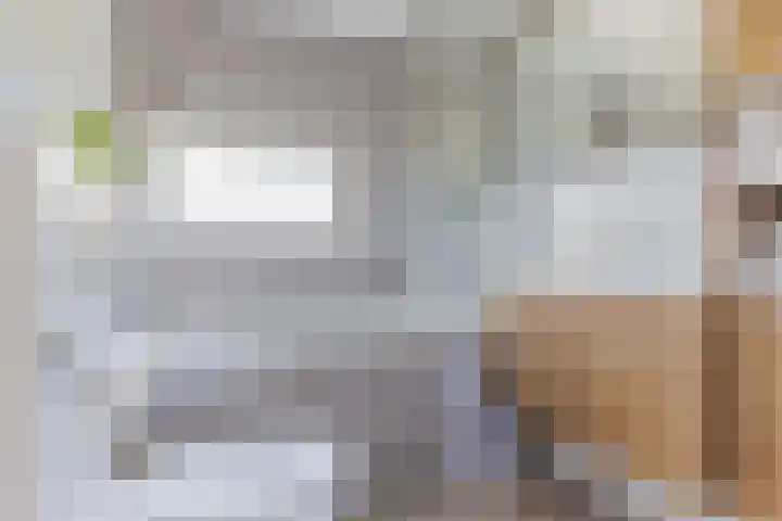 Hoofdelingenlaan 9 Appingedam thumbnail 45