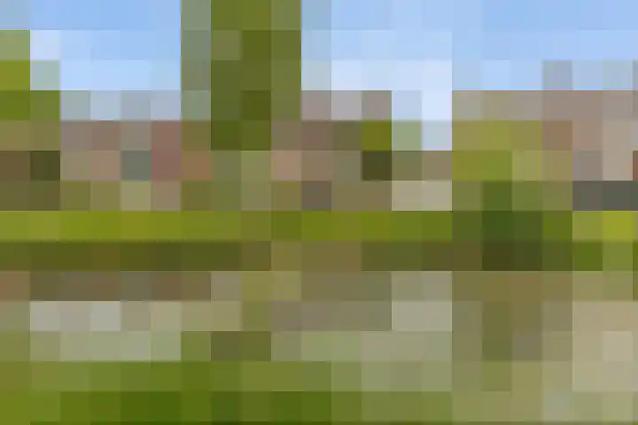 Hoofdelingenlaan 9 Appingedam thumbnail 55