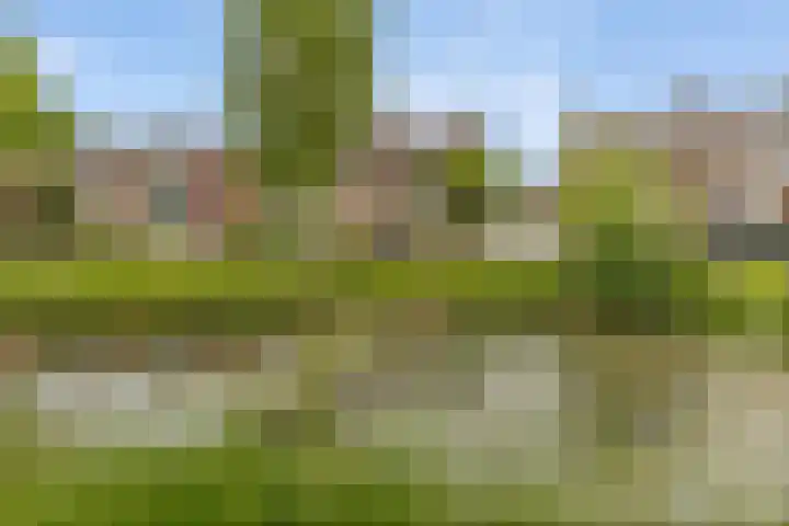 Hoofdelingenlaan 9 Appingedam thumbnail 7