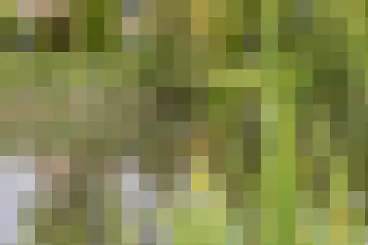 Hoofdelingenlaan 9 Appingedam thumbnail 8